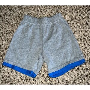Garanimals Boys Gray/Blue shorts size 3T